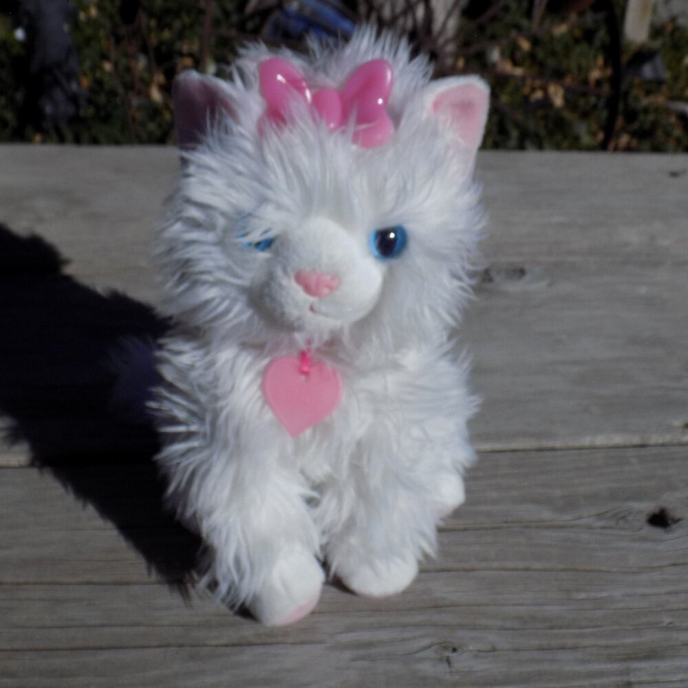 Scruffies Kitten Plush 2015